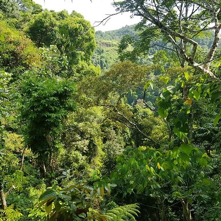 On The Rocks Bungalows, Restaurant And Jungle Trekking Tours Bukit Lawang Exterior photo