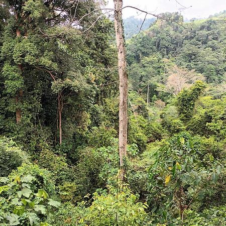 On The Rocks Bungalows, Restaurant And Jungle Trekking Tours Bukit Lawang Exterior photo