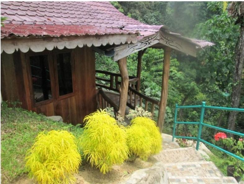 On The Rocks Bungalows, Restaurant And Jungle Trekking Tours Bukit Lawang Exterior photo