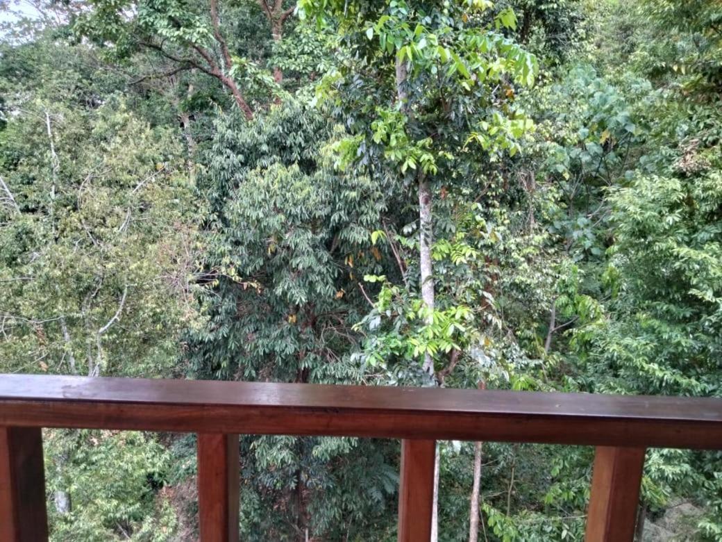 On The Rocks Bungalows, Restaurant And Jungle Trekking Tours Bukit Lawang Exterior photo