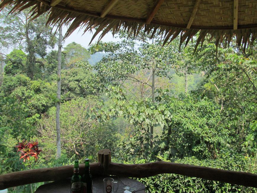 On The Rocks Bungalows, Restaurant And Jungle Trekking Tours Bukit Lawang Exterior photo