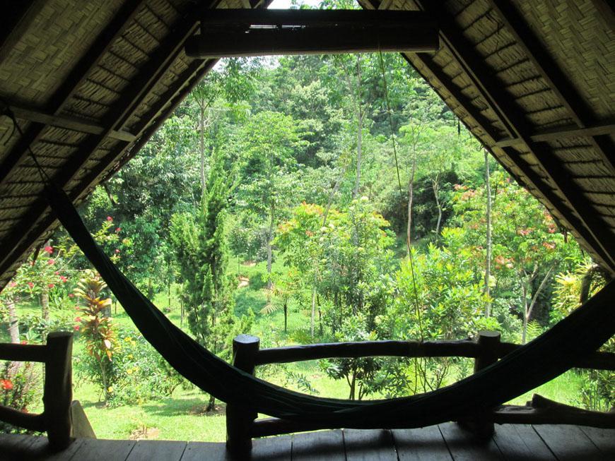 On The Rocks Bungalows, Restaurant And Jungle Trekking Tours Bukit Lawang Exterior photo