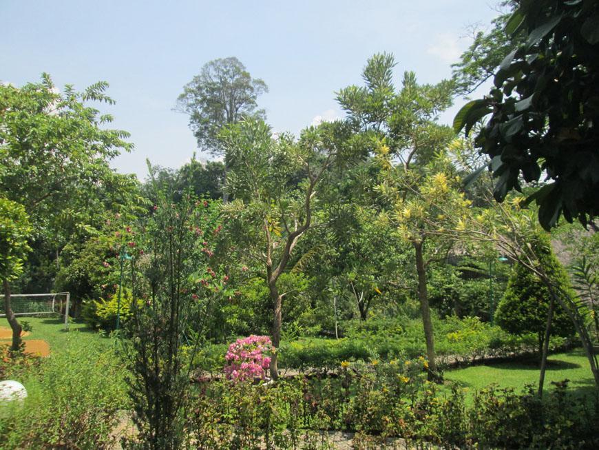 On The Rocks Bungalows, Restaurant And Jungle Trekking Tours Bukit Lawang Exterior photo