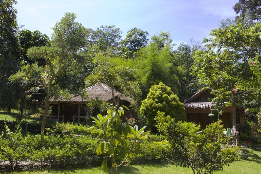 On The Rocks Bungalows, Restaurant And Jungle Trekking Tours Bukit Lawang Exterior photo